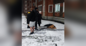 Жители Саранска сообщили о выпавшей из окна многоэтажки 14-летней девочке