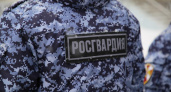 Росгвардейцы Мордовии за месяц пресекли 197 правонарушений 