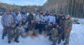 В Зубово-Полянском районе Мордовии устроили облаву на волков