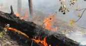 В лесах Мордовии объявили начало пожароопасного сезона