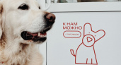 Магазины МТС в Мордовии открылись для домашних животных 