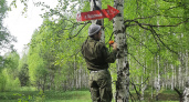 В лесах Мордовии добровольцы ПСО установили 11 табличек-указателей