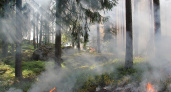 МЧС Мордовии предупредило о высокой пожарной опасности лесов с 1 по 5 мая