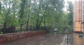 Нас ждут дожди, смерчи и похолодание: в Москве валит деревья, в Сочи вода стала холодной — не повезло отдыхающим
