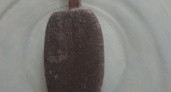 Холодный яд в брикете: пальма с кишечной палочкой — Роскачество выяснило, от какого мороженого нужно бежать как от огня