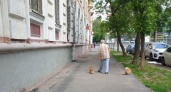 Решение принято: с 1 октября средняя пенсия станет 41 600 рублей — названа категория пенсионеров-счастливчиков 