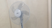 Вместо кондиционера: нанести на лопасти или решетку вентилятора это — станет заметно прохладнее, придется укутаться