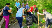 Саранские чиновники побывали на субботнике