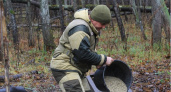 Мордовский заповедник начал подкармливать зубров перед наступлением холодов