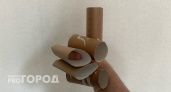 Втулки от туалетной бумаги берегу как зеницу ока: они отлично помогают в быту — полезная вещь для решения многих проблем