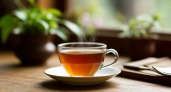 Назван главный вред вчерашнего чая — вот веская причина заварить свежий напиток