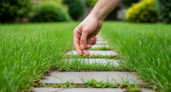 Не соль, не уксус: траву на садовой дорожке уничтожил за 5 минут — дедовский способ избавил от сорняков на весь год