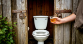 Рюмку в унитаз на ночь — к утру выгребная яма чистая и сухая: выливаем раз в месяц — и забываем об откачке на 15 лет