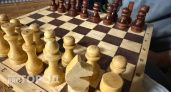 В Саранске провели шахматный турнир в честь Жириновского и Международного дня шахмат