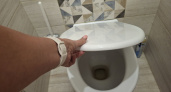 Почему нельзя оставлять открытой крышку унитаза - запомните раз и навсегда