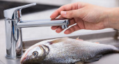 После разделки рыбы всегда тру ладони о кран: вот для чего это нужно - и еще 9 хитростей от опытных хозяек