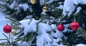 Огни главной новогодней елки в Саранске зажгутся 21 декабря
