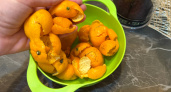 Корки от мандаринов заливаю уксусом, всю зиму не нарадуюсь находке - умные хозяйки точно оценят