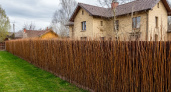 Забор не городил - по весне только повтыкал ветки - что стало с изгородью теперь 