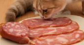 Дешевая колбаса из "Светофора": стоит ли брать, едят ли ее кошки и собаки - отзыв после дегустации