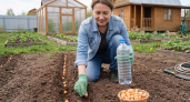 Перестаньте горбатиться на огороде: бутылочный метод посадки севка без спазмов в пояснице — быстрее, проще, урожайнее