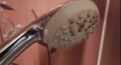 Напор 10 из 10 вместо вялых струек: чем почистить лейку душа от засора без снятия — нужна пластиковая бутылка и 15 минут