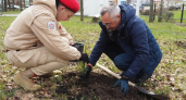 В парке культуры и отдыха Рузаевки была высажена еловая аллея