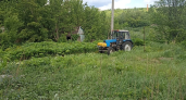 В Саранске коммунальные службы продолжают очищать город от борщевика Сосновского