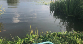 В Мордовии названы места, где купание не рекомендуется
