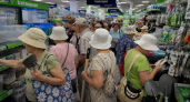Дачники скупают в Fix Price «волшебные» колышки: вот почему они стали настоящим хитом сезона