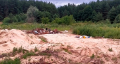 В Теньгушевском районе Мордовии вновь появилась стихийная свалка