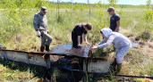 В лесах Псковской области поисковики вернули из небытия имя мордовского воздушного аса Алексея Дерябина