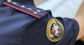 Жительнице Ельниковского района грозит уголовная ответственность за нападение на сотрудников ДПС
