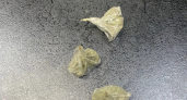 В Саранске потребитель марихуаны превратил заброшенный участок в плантацию