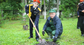 В Саранске высадили 17 елей в память о погибших выпускниках городской школы