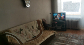 И не крути пальцем у виска: повесь губку для посуды на люстру — результат ошеломит
