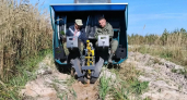 В Мордовии восстанавливают лес с помощью специальной машины