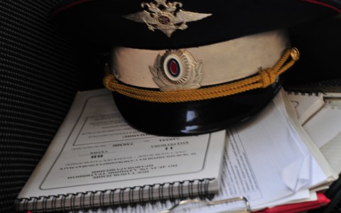 В Мордовии раскрыта кража породистого щенка