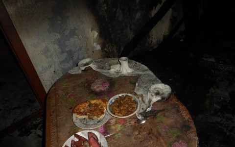 Саранские пожарные спасли от гибели двух человек (фото)