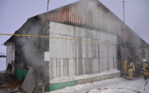 Родственница погибших на пожаре в Мордовии: «Девочек часто закрывали в комнате»