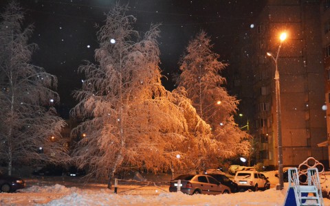 В Саранске потеплеет на несколько градусов