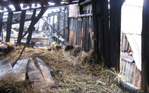 В Мордовии на пожаре зажарилась хрюшка