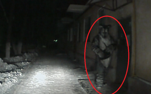 Жители Саранска увидели на улице странное существо (видео)