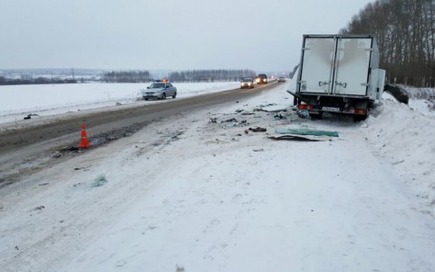 В столкновении маршрутки и грузовика в Мордовии пострадали три человека