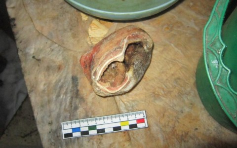 Житель Саранска отобрал у соседа свинью и сделал для друзей шашлык