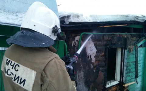 Саранские пожарные спасли из горящего дома двух человек (фото, видео)