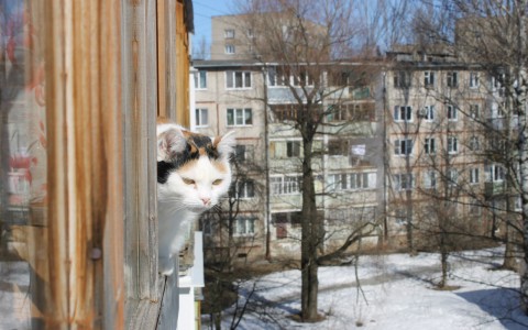 В Мордовии наблюдается глобальное потепление