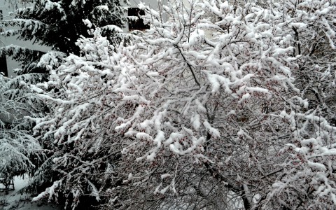 27 января в Саранске столбики термометров опустятся до минус 20 градусов