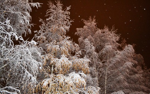 29 января в Саранске будет холодно