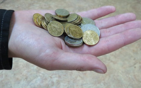 Житель Мордовии утащил у односельчанки девятьсот десятирублевых монет